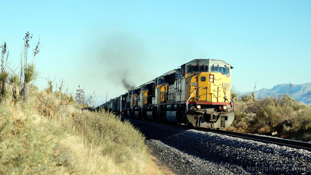 Fully automated rail network hailed as the world’s “largest robot” launches in Australia